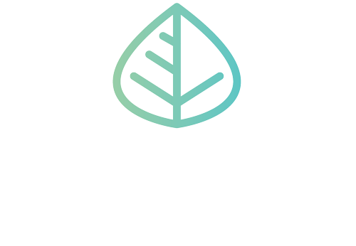 emergent layer slider logo