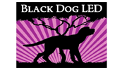 Emergent Layer Black Dog Leed Grey